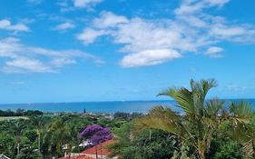 Three Little Birds Guesthouse